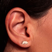 Bear Earrings