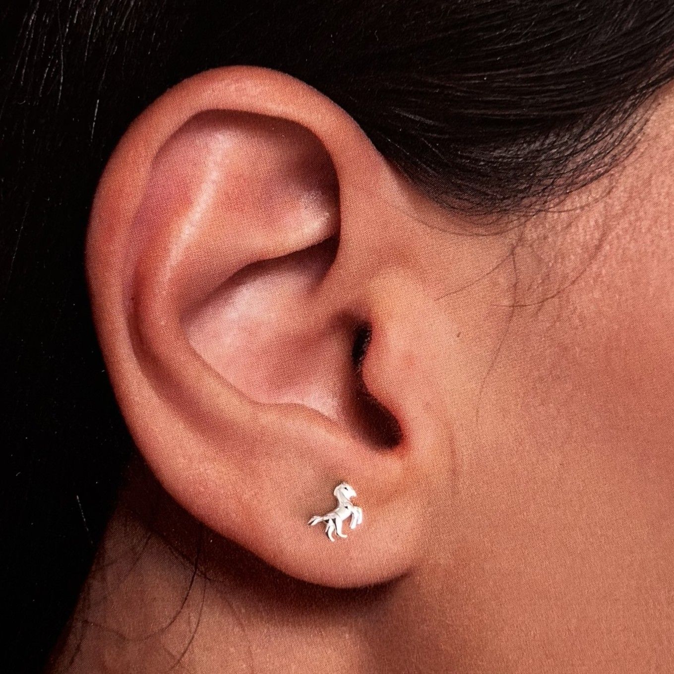 Horse Earrings