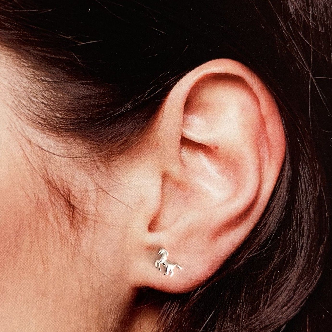 Horse Earrings