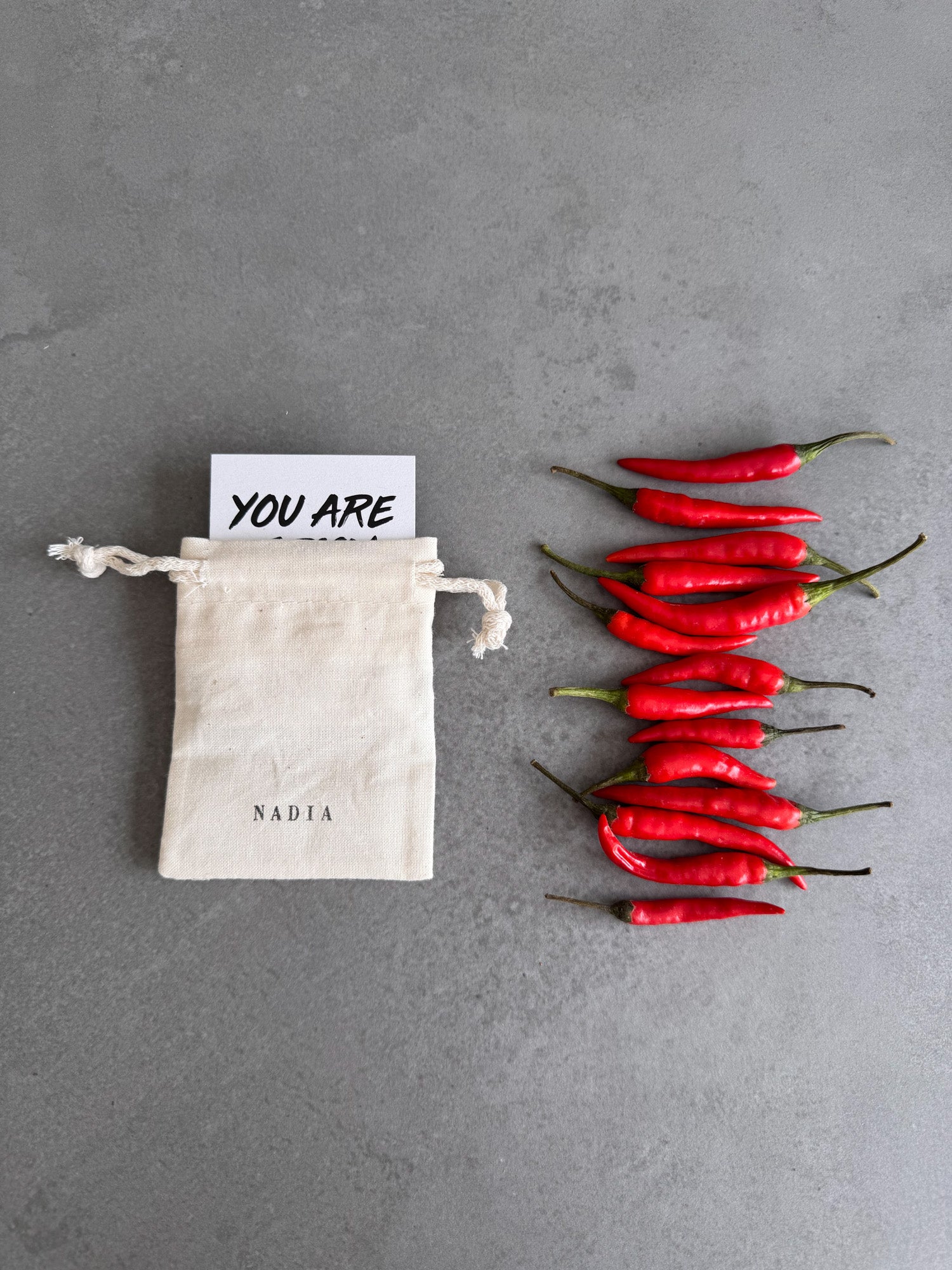 You Are Spicy - Chilli Earrings