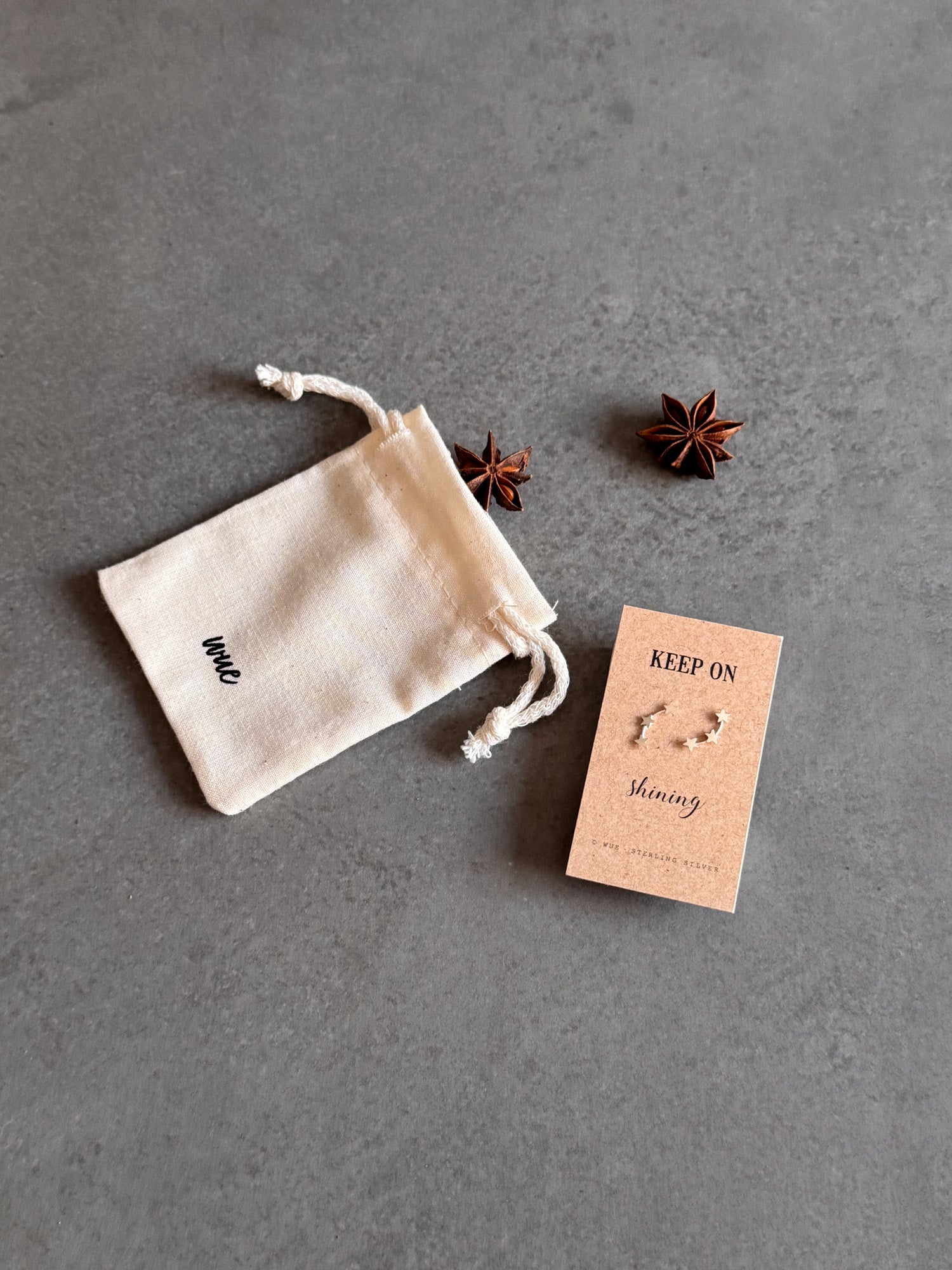 Keep Shining Star Earrings