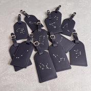 Zodiac Luggage Tag
