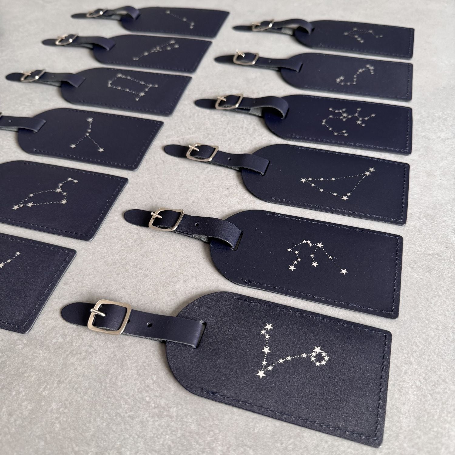 Zodiac Luggage Tag